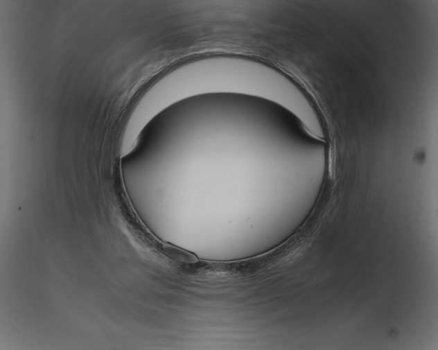 X0000116580205200912312021