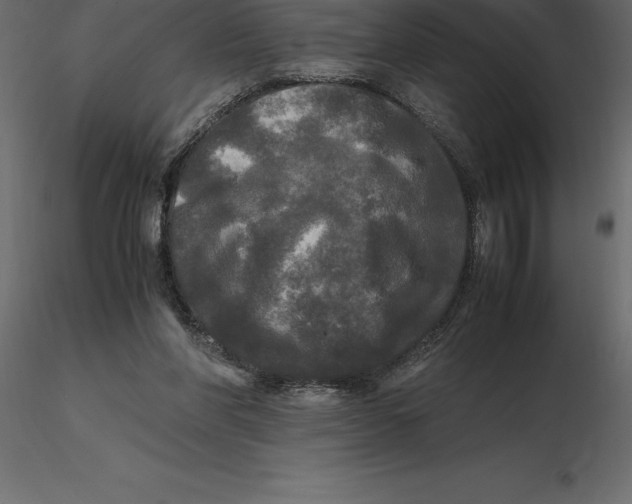 X0000116580206200912312021