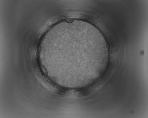 X0000116580207200912312021