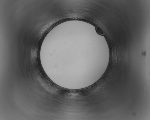 X0000116580208200912312021