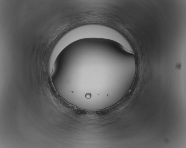 X0000116580209200912312021