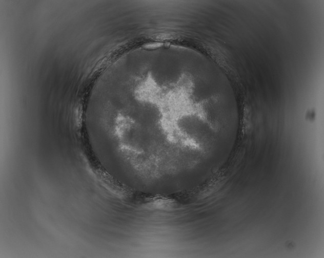 X0000116580210200912312021