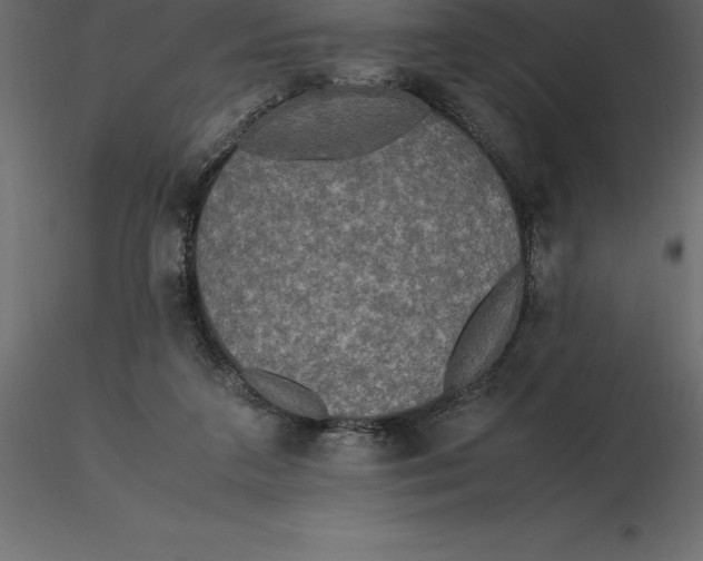 X0000116580211200912312021