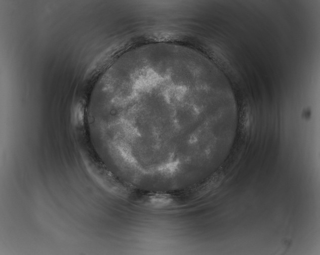 X0000116580214200912312021