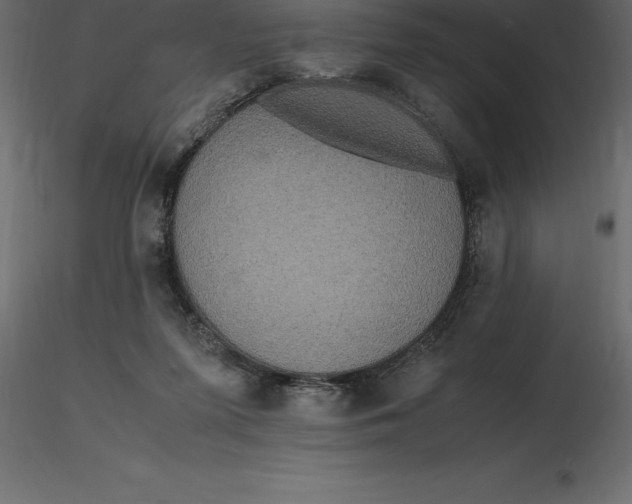 X0000116580215200912312021