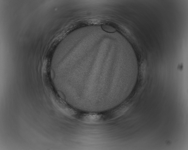 X0000116580217200912312021