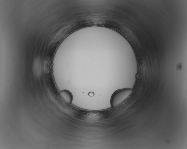 X0000116580218200912312021