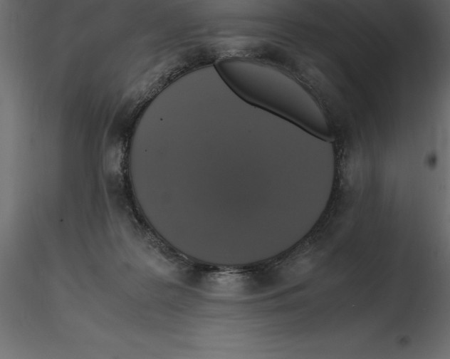 X0000116580219200912312021