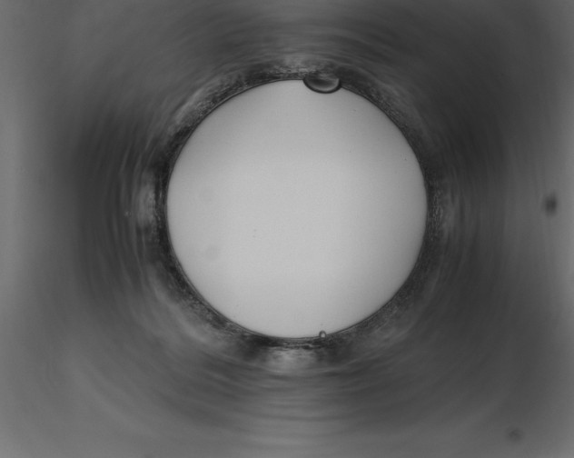 X0000116580220200912312021