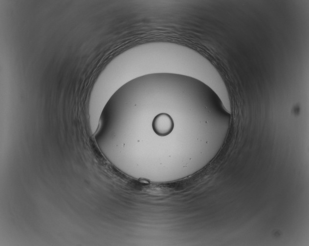 X0000116580221200912312021