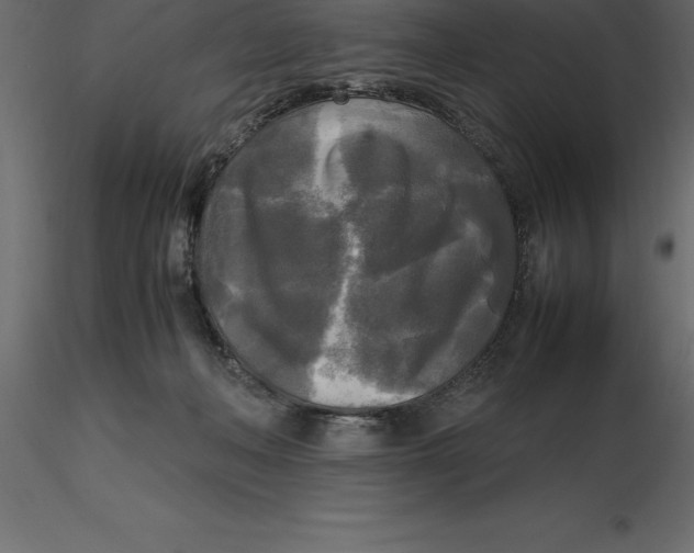 X0000116580222200912312021