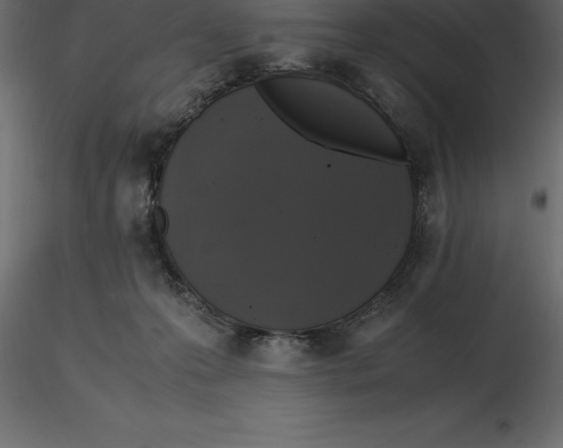 X0000116580223200912312021