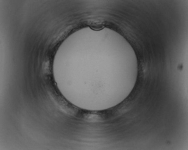 X0000116580224200912312021