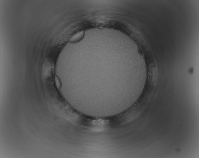 X0000116580225200912312021