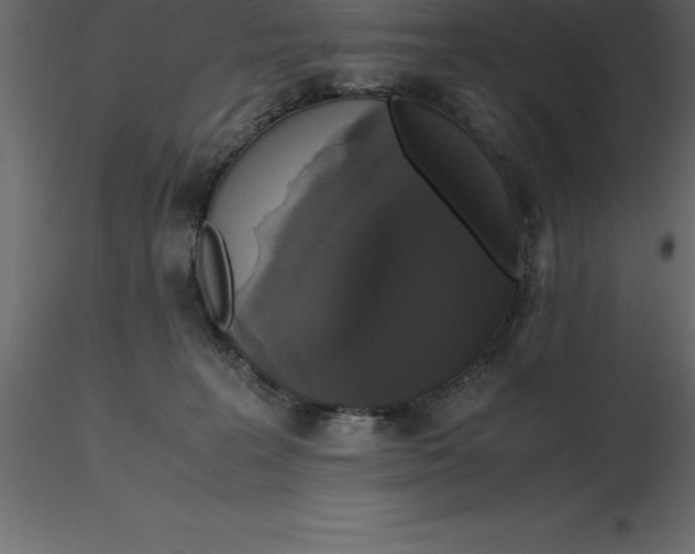 X0000116580227200912312021