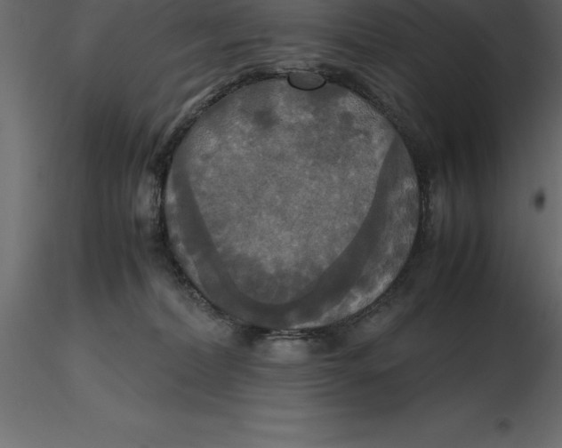 X0000116580228200912312021