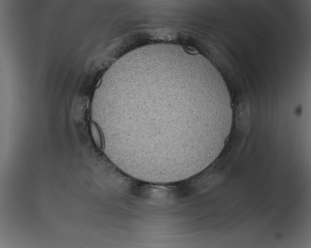 X0000116580229200912312021