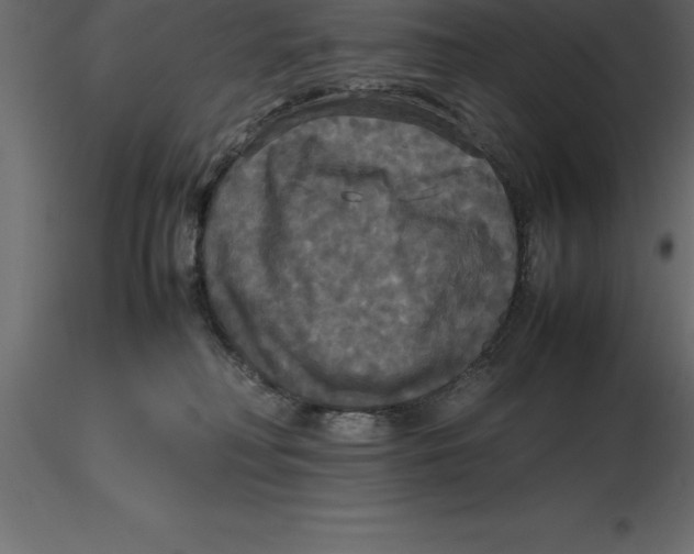 X0000116580230200912312021