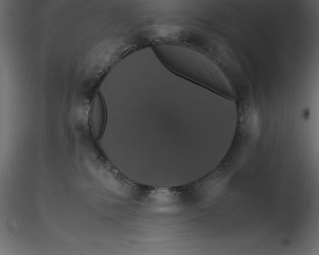 X0000116580231200912312021