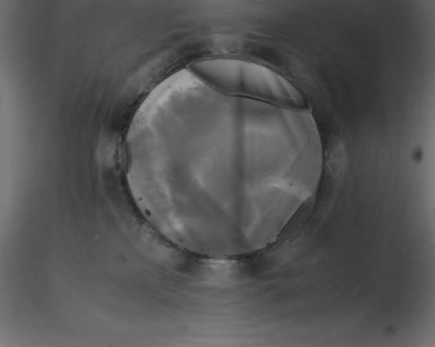 X0000116580233200912312021