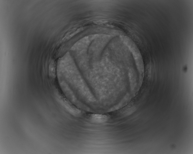 X0000116580234200912312021