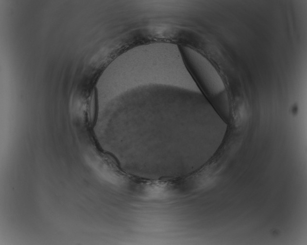 X0000116580235200912312021