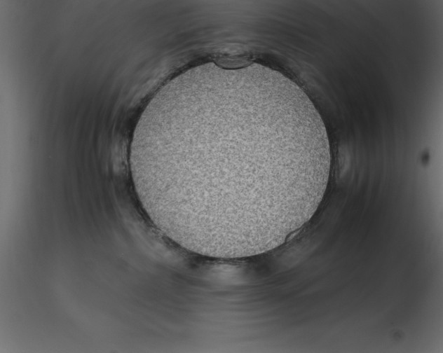 X0000116580236200912312021