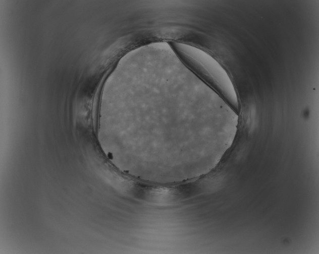 X0000116580237200912312021