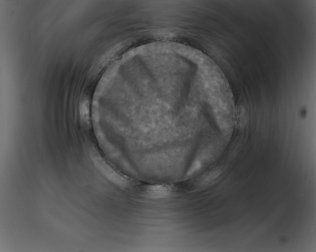 X0000116580238200912312021