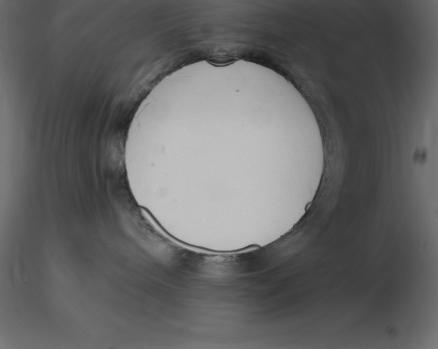 X0000116580240200912312021