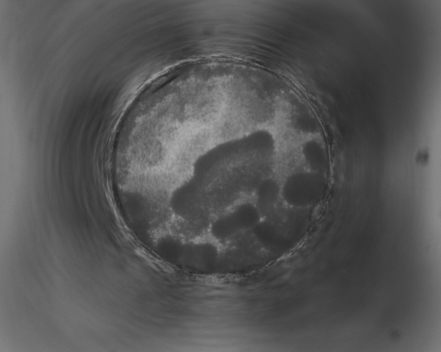 X0000116580241200912312020