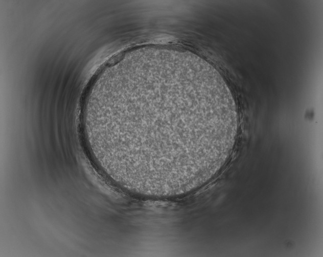 X0000116580242200912312020