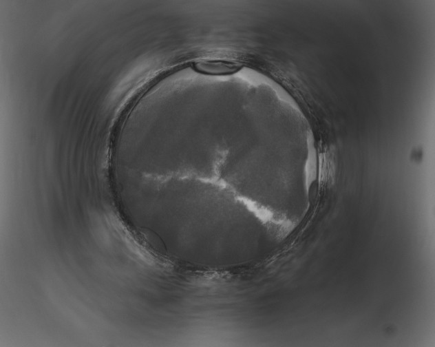 X0000116580243200912312020