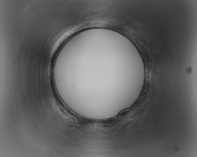 X0000116580244200912312020