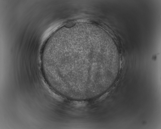 X0000116580245200912312020