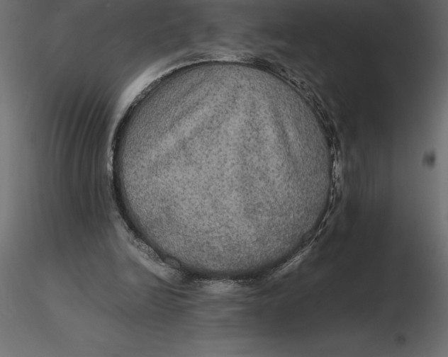 X0000116580246200912312020