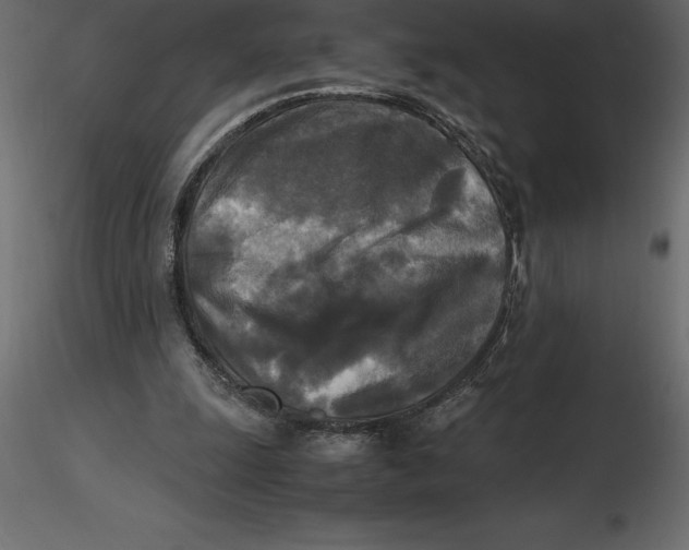 X0000116580247200912312020