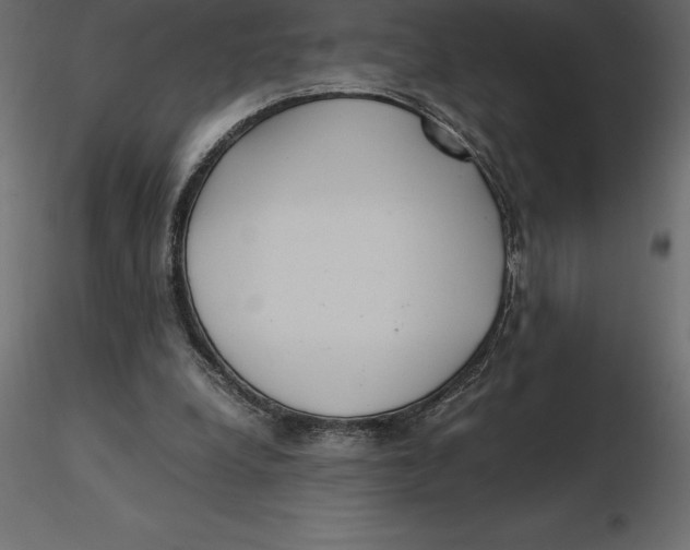 X0000116580248200912312020