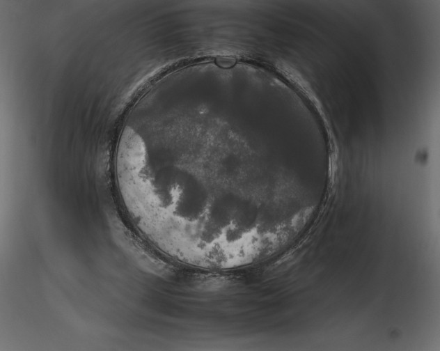 X0000116580249200912312020