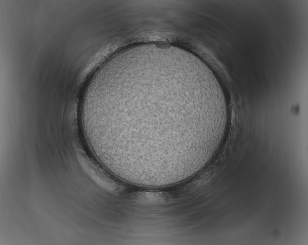 X0000116580250200912312020