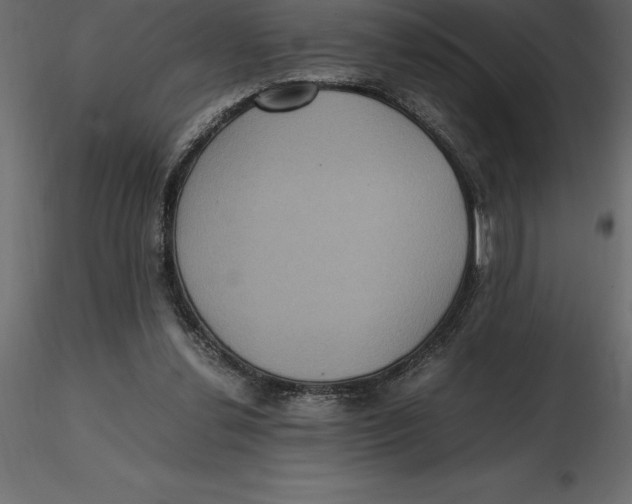 X0000116580252200912312020