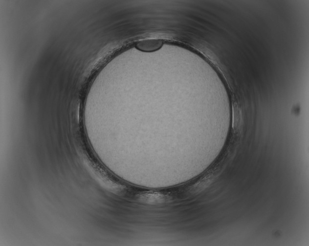 X0000116580253200912312020