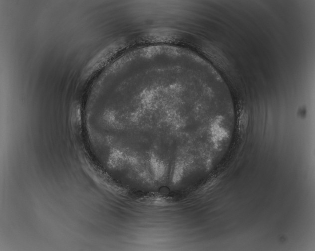 X0000116580254200912312020