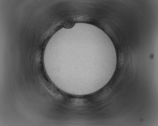 X0000116580255200912312020