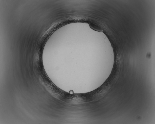 X0000116580256200912312020