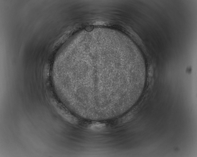 X0000116580257200912312021