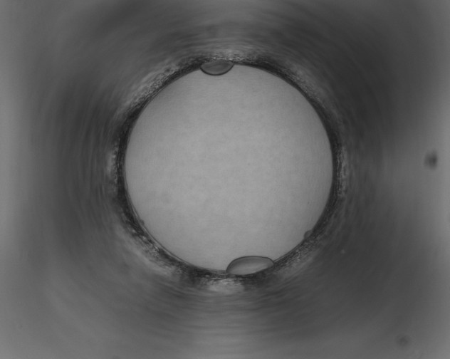 X0000116580258200912312021