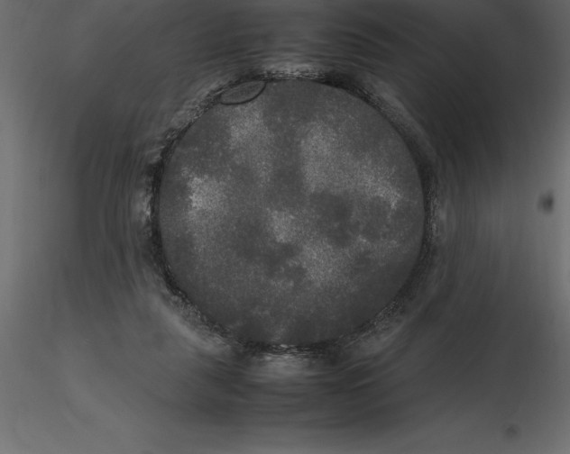 X0000116580259200912312021