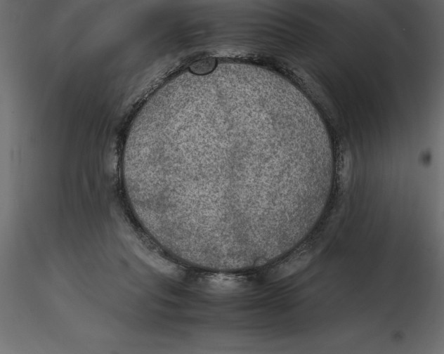 X0000116580261200912312021