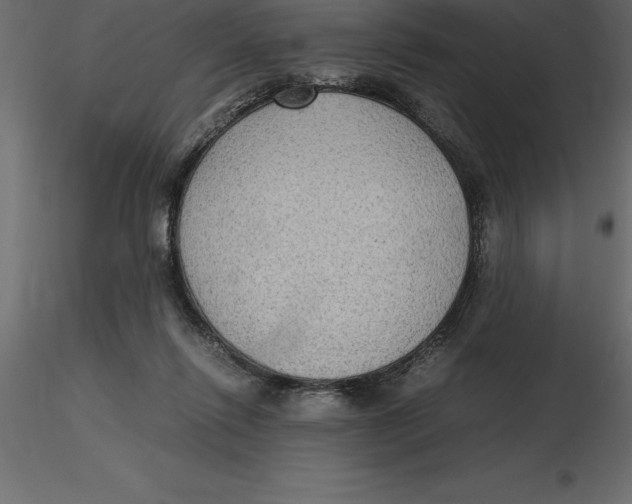 X0000116580262200912312021